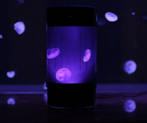 Affordable Jellyfish Aquarium