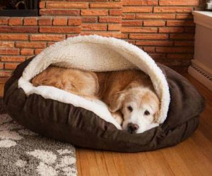 Cozy Cave Pet Bed