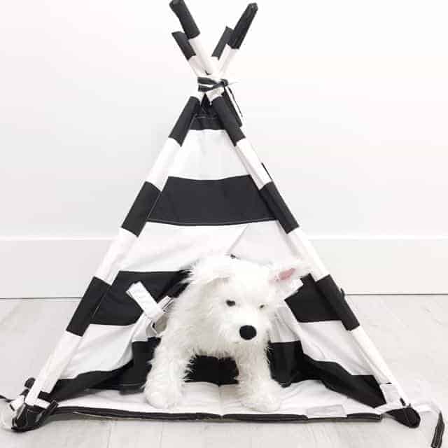Black & White Pet Teepee Tent