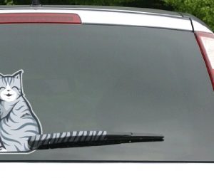 Unique Car Decals And Stickers For Your Ride