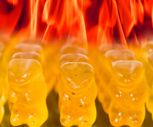 Devilish Hot Gummi Bears