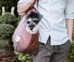 Portable Travel Pet Carrier