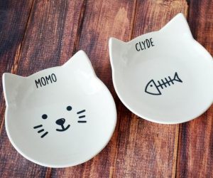 Personalised Cat Food Bowls