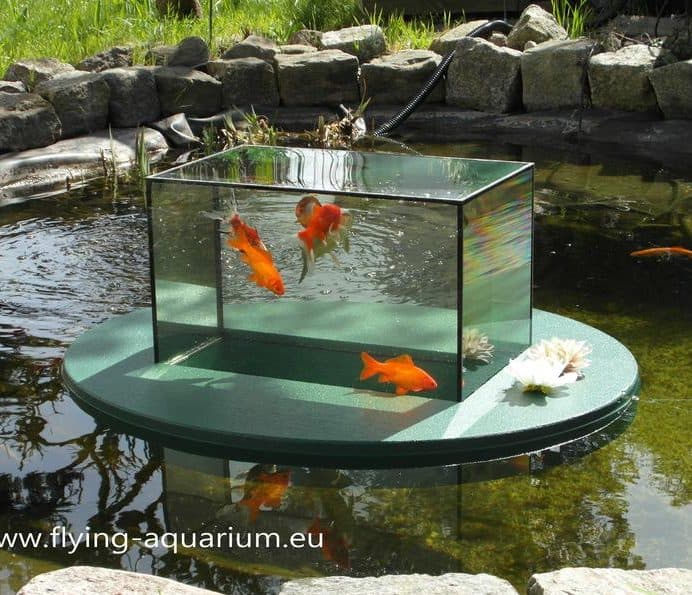 Portable Floating Fish Aquarium