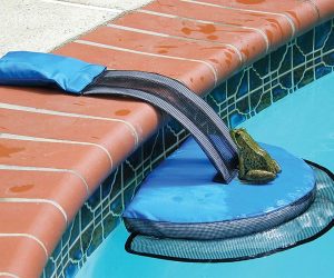 Animal Saving Escape Ramp For Pool