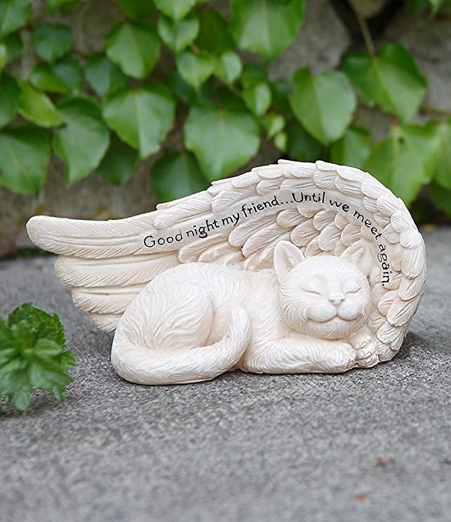 Sleep Cat Under Angels Wing
