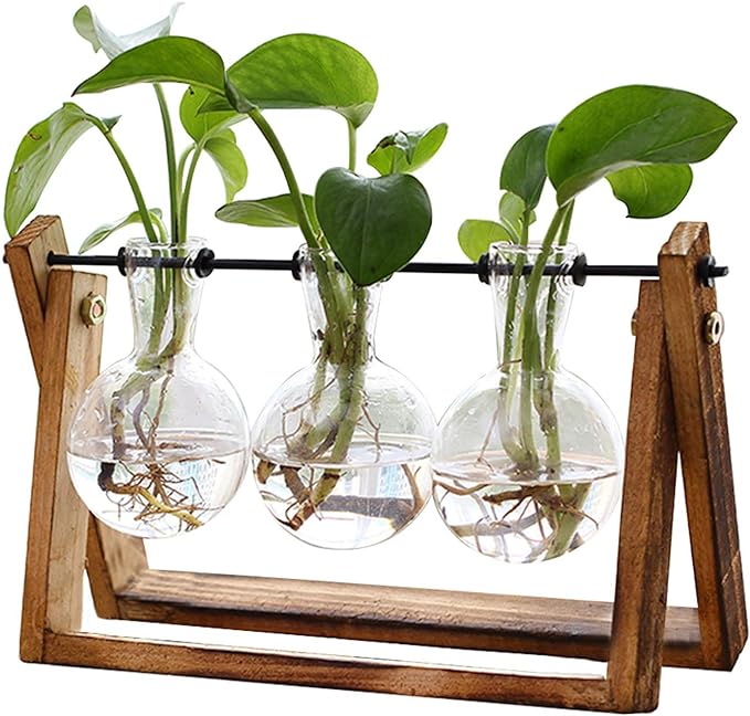 Bulb Glass Air Planter With Wooden Stand